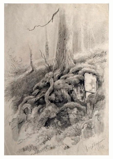 Иван Шишкин «Корни дерева» (1859)