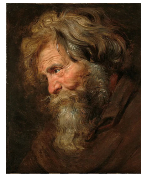 Питер Пауль Рубенс «Голова старика» (1615-1618)