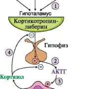 Причины и симптомы депрессии