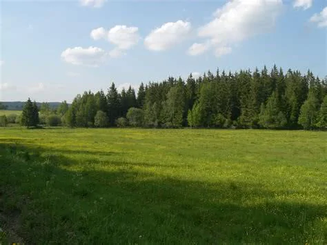 Природа и депрессия