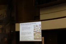 Анализ пищевых дневников пациентов, нутритивное питание