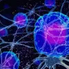 Определение профиля цитокинов Определение "профиля цитокинов"